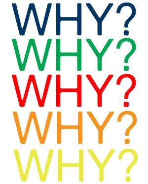 5 whys